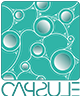 Logo Capsule